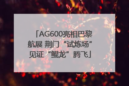 AG600亮相巴黎航展 荆门“试炼场”见证“鲲龙”腾飞