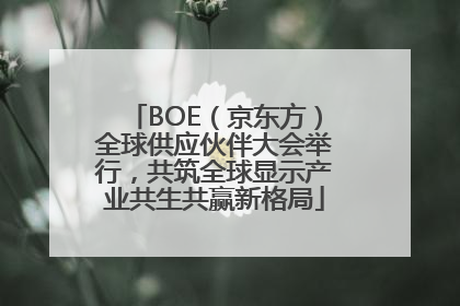 BOE（京东方）全球供应伙伴大会举行，共筑全球显示产业共生共赢新格局