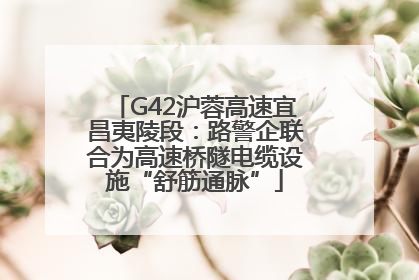G42沪蓉高速宜昌夷陵段：路警企联合为高速桥隧电缆设施“舒筋通脉”