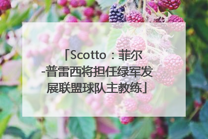 Scotto：菲尔-普雷西将担任绿军发展联盟球队主教练