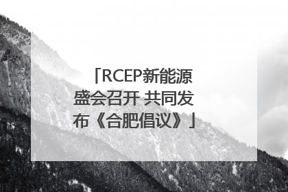 RCEP新能源盛会召开 共同发布《合肥倡议》